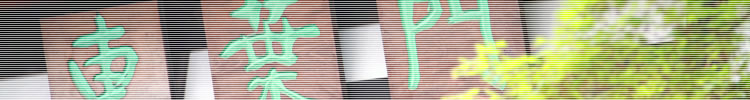 yLʐMZztwZLʐMZƂ́H